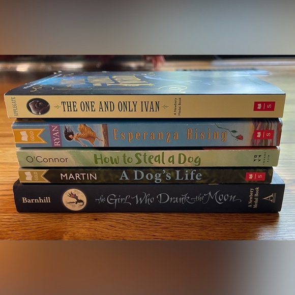 Fiction Chapter Books Set - Picture 3 of 4